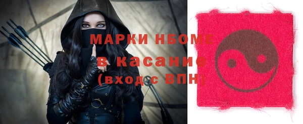 индика Баксан