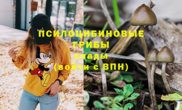 соль курить ск Армянск