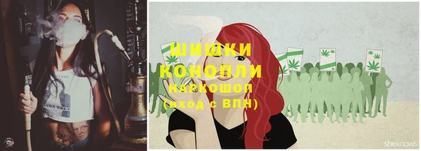 индика Баксан