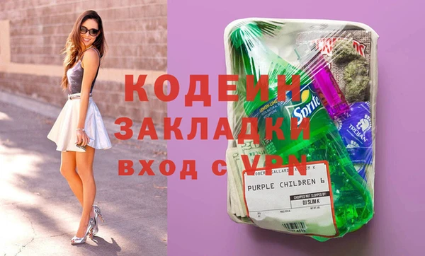 индика Баксан