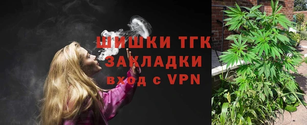 индика Баксан