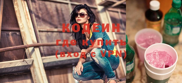 индика Баксан